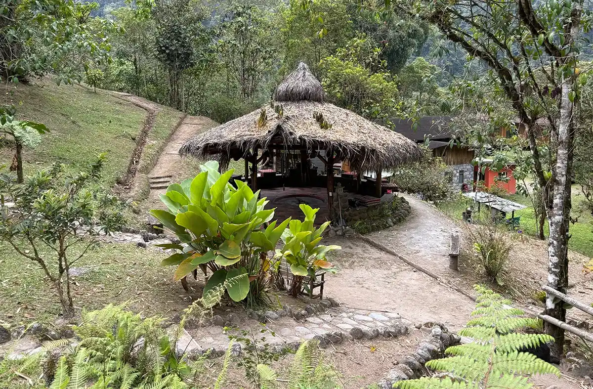 Ayahuasca Retreat25