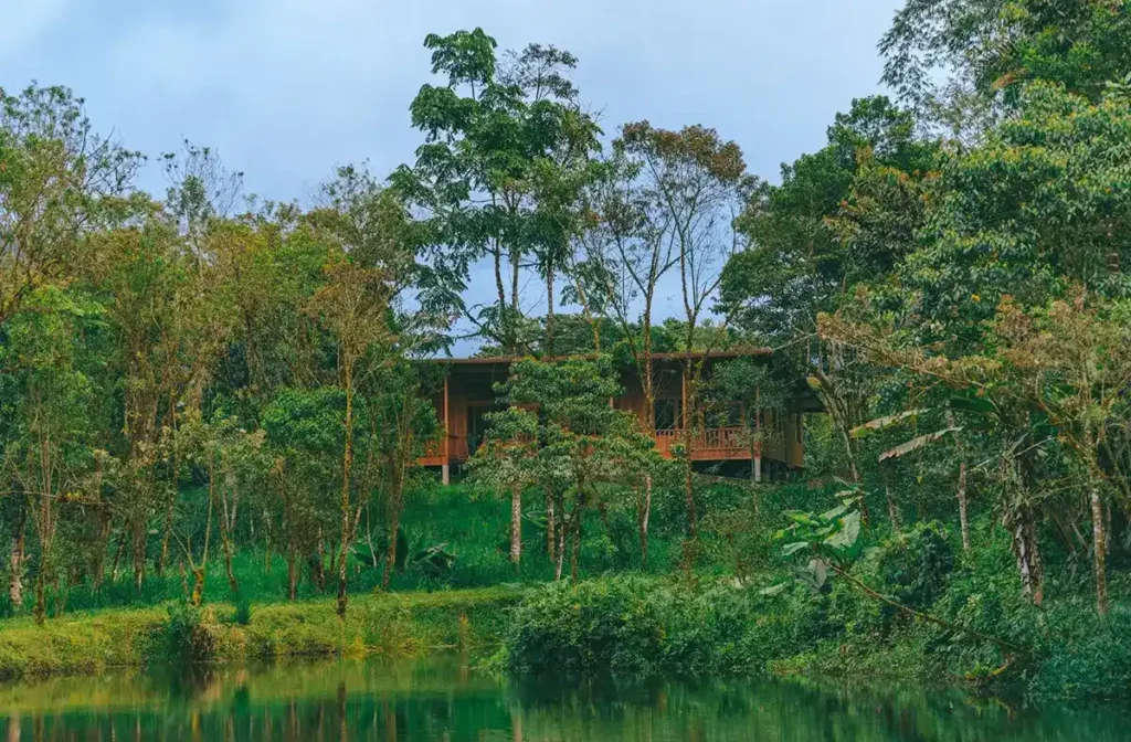 Ayahuasca ceremony at Ayniheal
