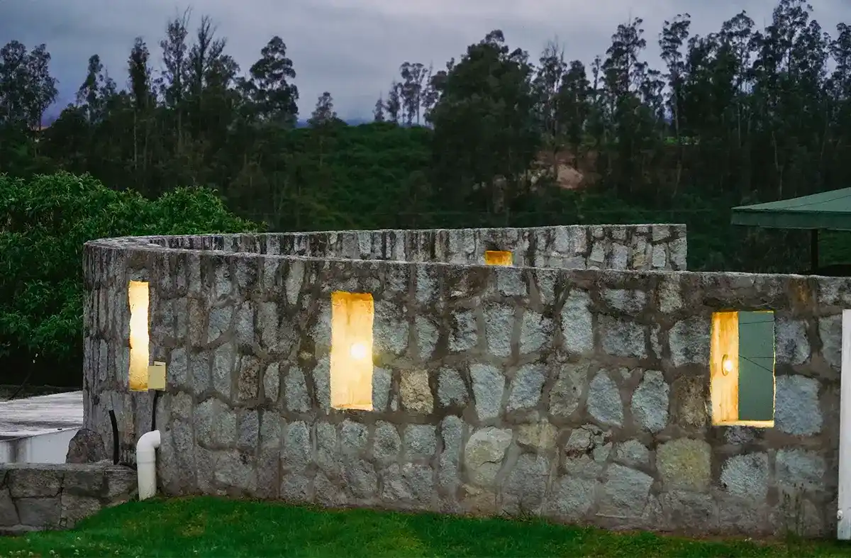 psilocybin mushrooms retreat header