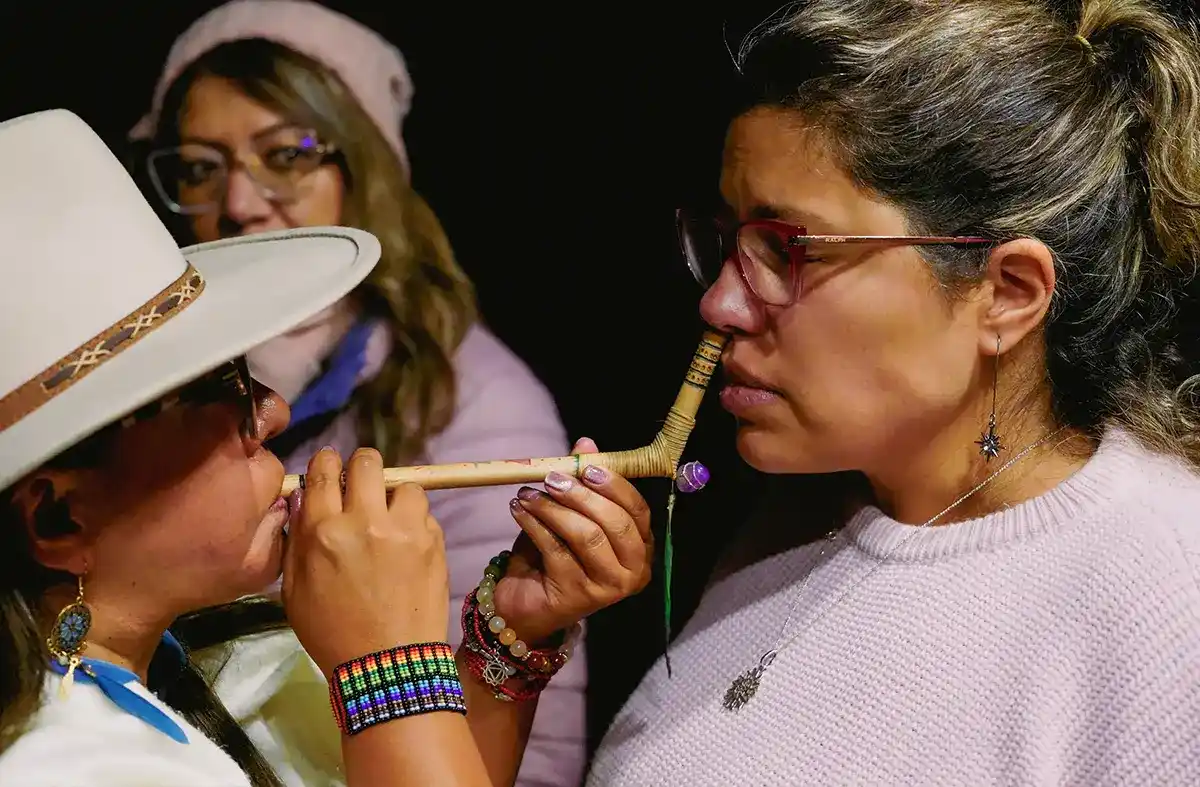 psilocybin mushrooms retreat12