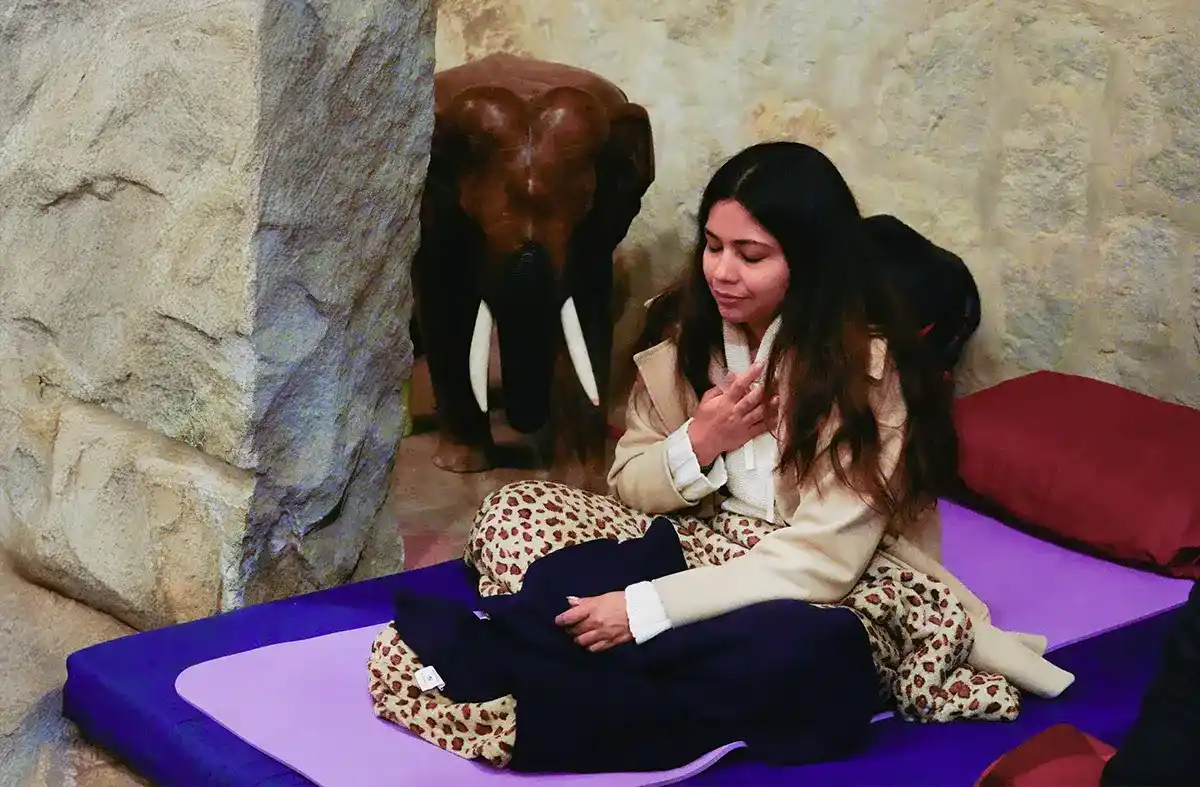 Psilocybin integration session for mental clarity