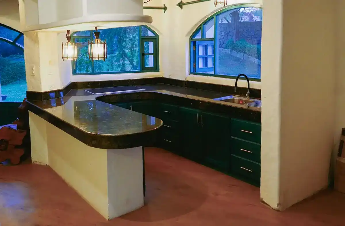 psilocybin mushrooms retreat29_10_11zon