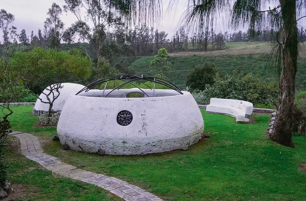 psilocybin mushrooms retreat32_7_11zon