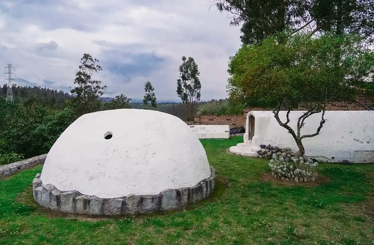 psilocybin mushrooms retreat33_6_11zon