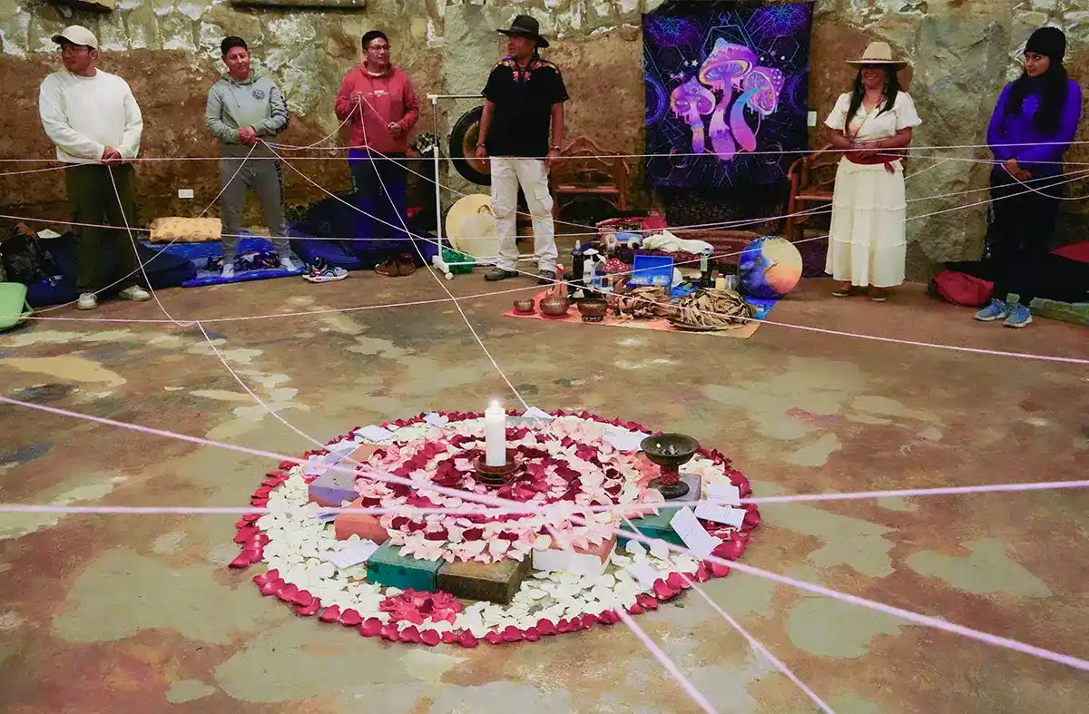 psilocybin mushrooms retreat38_1_11zon