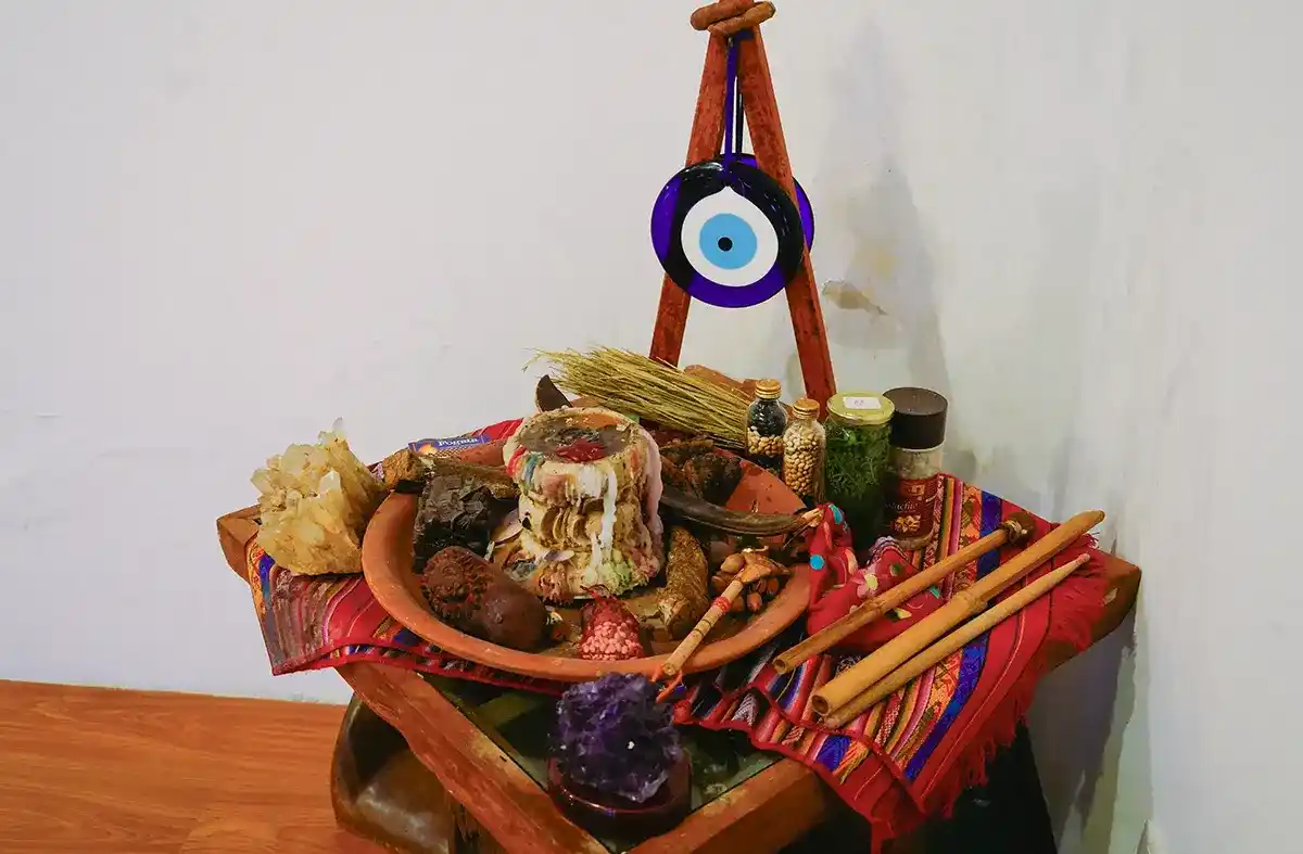 psilocybin mushrooms retreat5