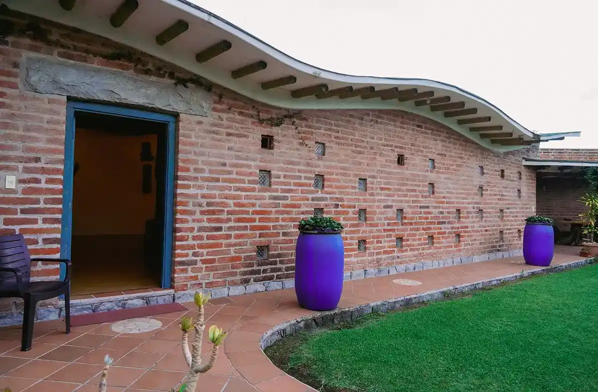 psilocybin mushrooms retreat6